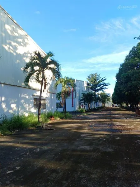 Bán nhà xưởnng trong kcn đức hòa long an, dt 25.000m2(2,5ha), giá 168 tỷ