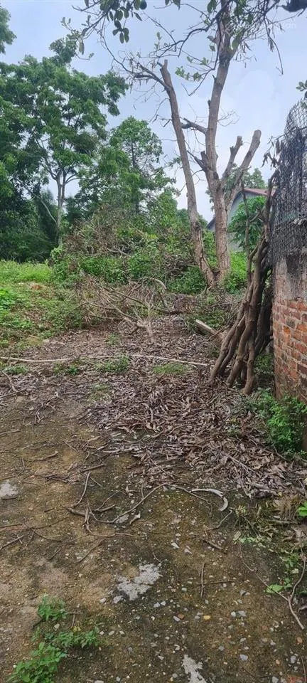 Bán đất trung tâm thị trấn kép, lạng giang bắc giang. 638m2 mt 20m. ô tô vào đất. giá 3,3tỷ