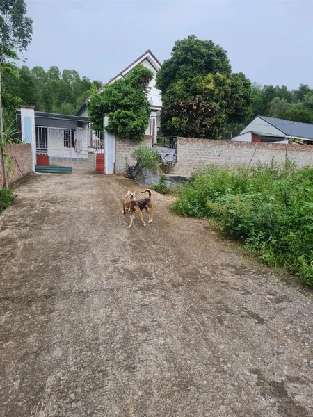 Bán đất ở đô thị 171m2 mặt tiền 5,3m tại phường tân an, tp bắc giang, bắc giang. giá chỉ 660tr