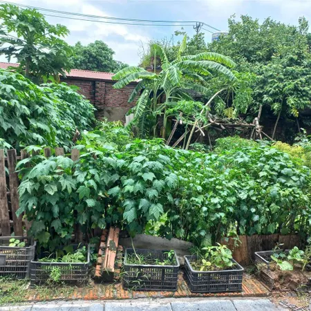 Bán đất đẹp 42m2. mt 4,5m giá hơn 2 tỉ ô tô đỗ cửa tt đông anh hà nội
