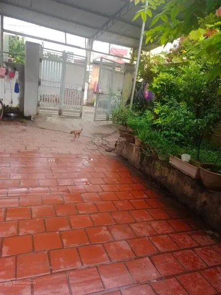 Bán đất thổ cư tại do hạ, tiền phong, mê linh, hà nội 80m2, mặt tiền 5m đẹp không qua trung gian