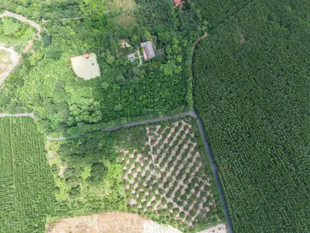 Miếng đất 1ha2 mặt tiền 200m bám đường nhựa cách tỉnh lộ 329 900m, gần chợ xuyên mộc