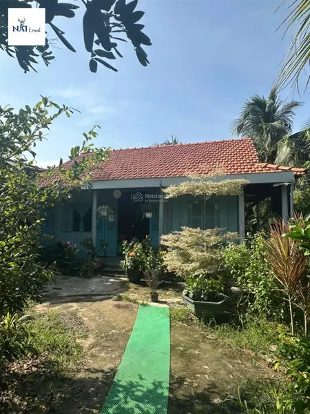 Đất vườn đẹp 2.000m² sổ sẵn, giá chỉ 2,5 tỷ, xem là chốt!