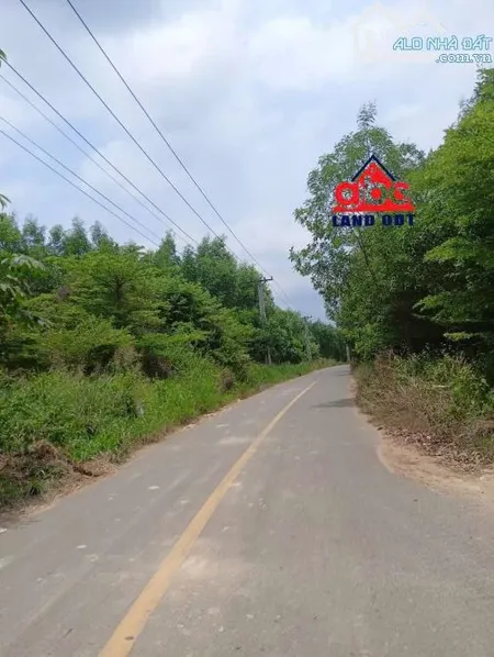 Cho Thuê Xưởng tổng diện tích 1ha xã An Viễn Trảng Bom - Đồng Na .chỉ 70tr/th. Điện 250kva