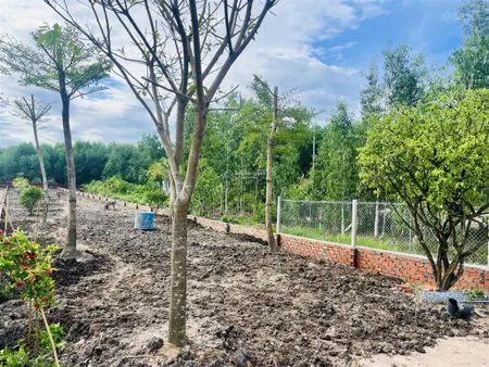Bán đất 1 sẹc, cách mặt tiền hùng vương 150m2, lên được full thổ, đường 7m