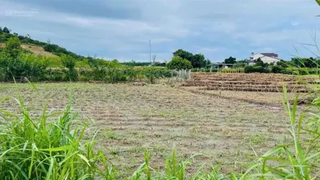 Cần bán đất ngay chợ cư jút giá chỉ 705tr diện tích 705m² mặt tiền 44m chiều dài 22m