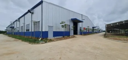 Nhà tôi muốn bán miếng đất mặt tiền đường QL80, Bình Thành, Lấp Vò, Đồng Tháp