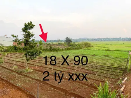 ✨ Đất View Ruộng thích hợp làm nhà vườn P. Pleiku