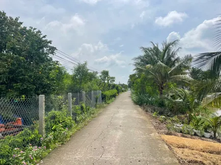 B.á.n 2 công đất vườn chỉ 950tr hết đất, mặt tiền ôtô hướng biển Rạch Bùn, Tân Điền, Đồng Tháp