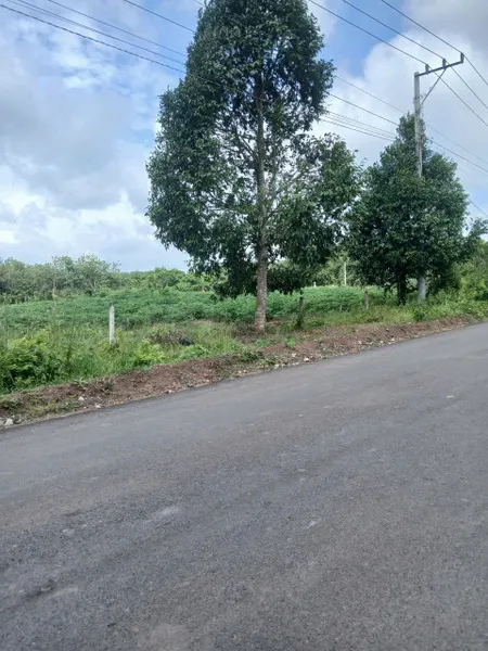 Bán đất 10X40=400m² THỔ CƯ MT DH 504 giá 1 tỷ  350 TR Xã An Long