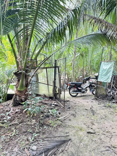 Cần bán gấp lô đất vườn dừa tơ đẹp