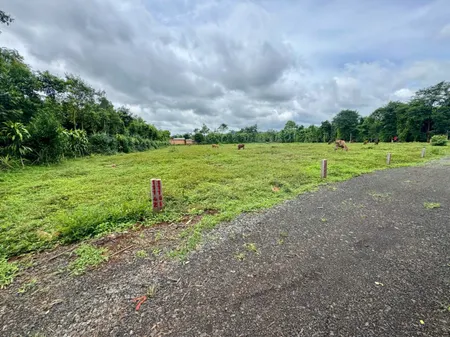 Bán đất 2454.6m² ngang 5m giá 160 triệu Xã Dray Bhăng