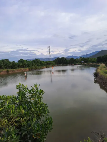 0763615365 Bán đất 3784m² giá 499 triệu Phường Hòa Thắng S243