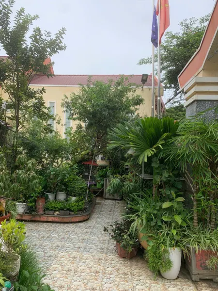 Cho thuê đất dài hạn 50 năm hoặc tìm người hợp tác đầu tư chung tại Chiềng An, Sơn La