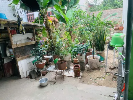 Bán đất 36,6m² ngang 4m giá 3.5 tỷ Xã Phúc Thịnh
