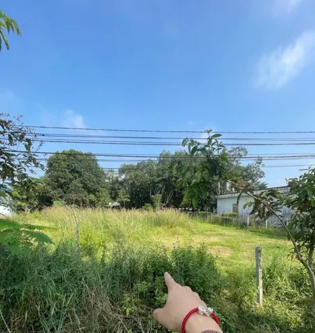 Bán đất thổ cư mặt tiền nhựa sát Tỉnh Lộ 15 trung tâm xã Phú Hòa Đông Củ Chi TPHCM, DT: 5x29m.