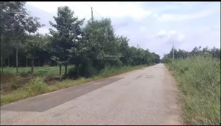 Cần bán 50.000m2 đất skc tại vĩnh hoà phú giáo bình dương