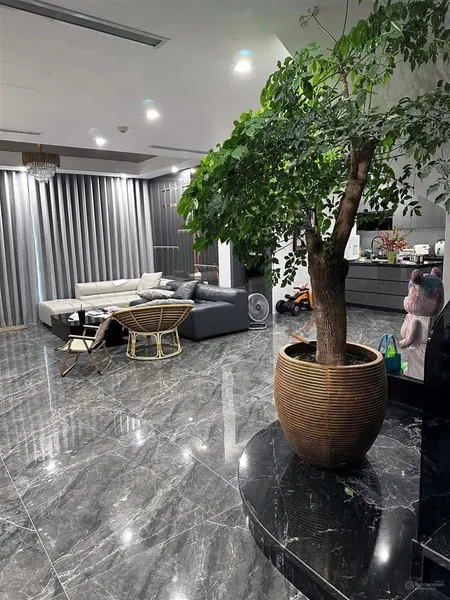 Bán căn hộ cao cấp 3pn, đập thông diện tích 150m² d'.el dorado tân hoàng minh tây hồ sở hữu lâu dài