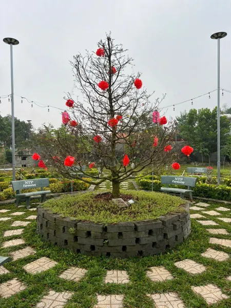 View nghỉ dưỡng bờ sông Đồng Nai .3500m2. View thiết kế bài bảng Sang Trọng