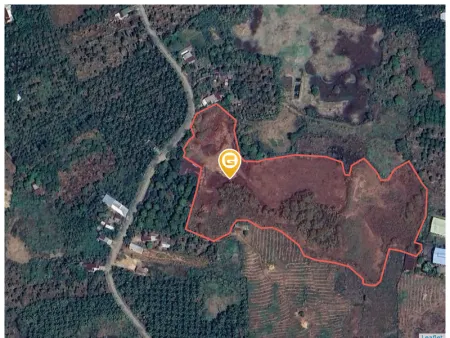 Bán đất 21000m² Xã Tà Lài