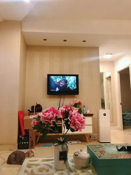 Cần bán căn hộ có sổ tại quận 4. giá bán 3 tỷ 7 nhà mới như hình.