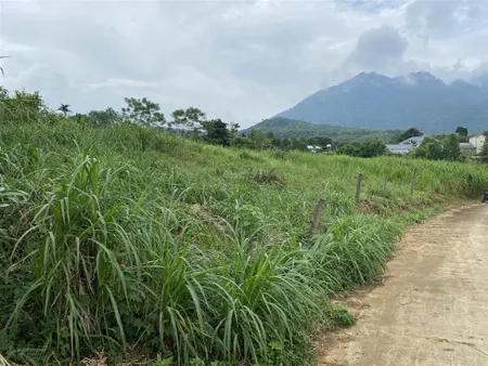 Tôi cần bán gấp mảnh đất gần 3000m2 view đồi núi cánh đồng tại khánh thượng, ba vì. giá 3.95 tỷ