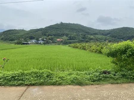 Lô đất nghỉ dưỡng nhỏ xinh view thẳng ra đồng lúa và đỉnh núi ba vì tuyệt đẹp. 1080m2 bán 1.85 tỷ