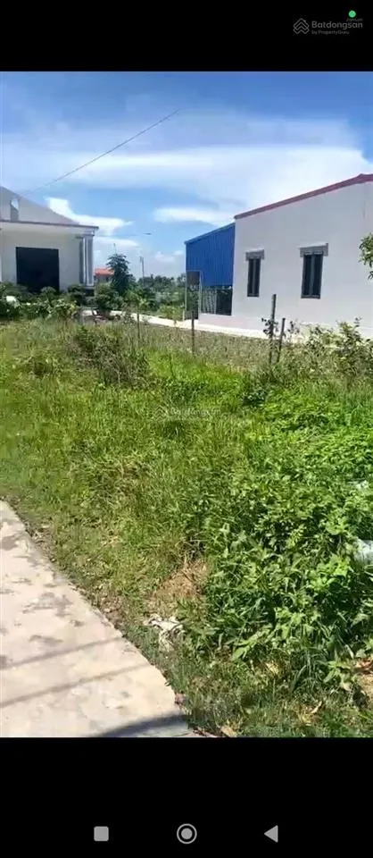 Bán gấp cắt lỗ đất giao hương, giao thuỷ, 100m2 đường ô tô tránh