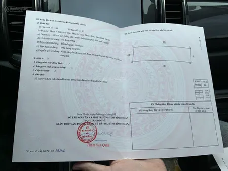 Cần bán đất chính chủ đất trồng cây lâu năm