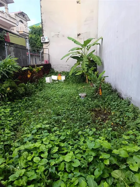 Ngõ ô tô 70m2 đất phường thạch bàn long biên ô tô vào tận đất