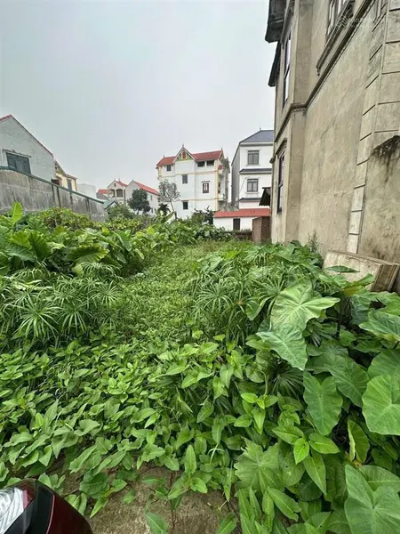 Lô đất siêu đẹp cách một nhà ra trục chính ô tô . vĩnh lộc thư phú thường tín hà nội