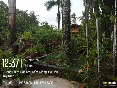 Ngân hàng thanh lý 3 TS tại Ấp Tân Thuận, xã Hưng Thuận,Trảng Bàng, Tây Ninh