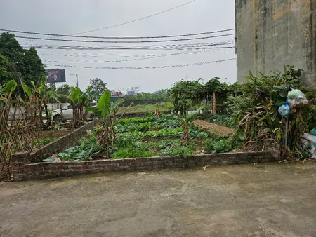 Bán đất 62.5m² ngang 5.22m giá 6.63 tỷ Xã Phúc Thịnh