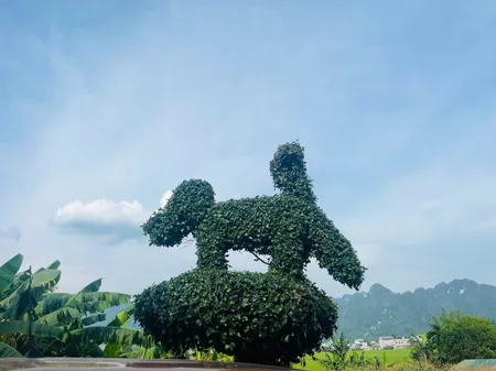 Chính chủ gửi bán lô đất nghỉ dưỡng tại Kim bôi