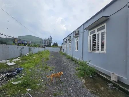 Bán đất tặng nhà c4 diện tích 1000m sổ hồng riêng ngay uỷ ban phường trảng dài