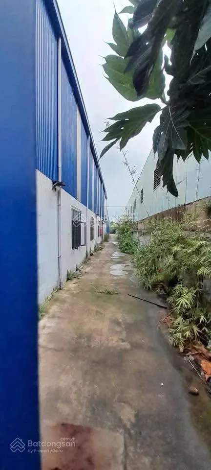 Bán kho xưởng kv 7.100m2, xd 5.000m2, bao sang tên kcn đức hòa, long an, pccc tự động