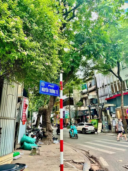 Cần bán nhà mặt phố nguyễn trường tộ, ba đình. dt 160m2 x 8t, 1hầm mt 6m vị trí rất đẹp kd sầm uất
