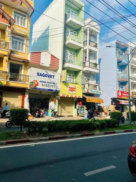 Bán nhà tân sơn nhì, nguyễn cửu đàm giá 11,5 tỷ