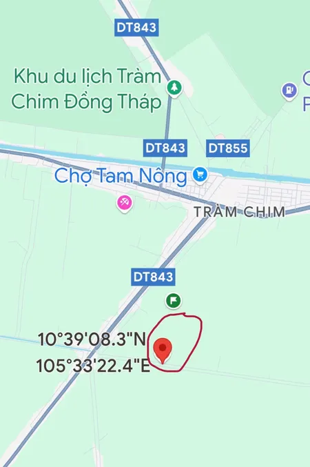Bán đất trồng cây lâu năm 22,274.4 mét vuông (mặt tiền lộ 64m, cách Chợ Tràm Chim 3.6km)