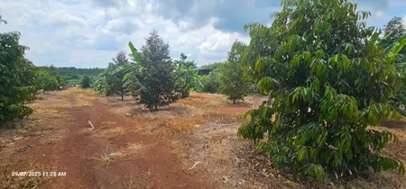 Bán đất DT 1096.8m2, giá siêu hời 4,2 tỷ tại ĐT 328, Bàu Lâm, Xuyên Mộc, Bà Rịa Vũng Tàu