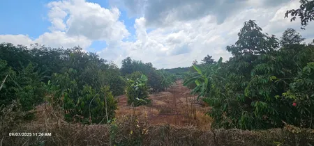 Bán đất 15000m2 tại ĐT 328, Bàu Lâm, Xuyên Mộc, 45 tỷ, view đẹp hàng hot