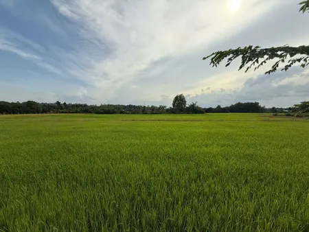 Bán đất 1565.3m² ngang 21.5m giá 1.28 tỷ Phường Tây Nam ( xã An Tây, TP Bến Cát, Bình Dương)