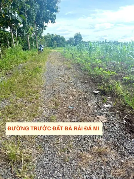 Bán đất 500m² giá 99 triệu Xã Ea M’Droh