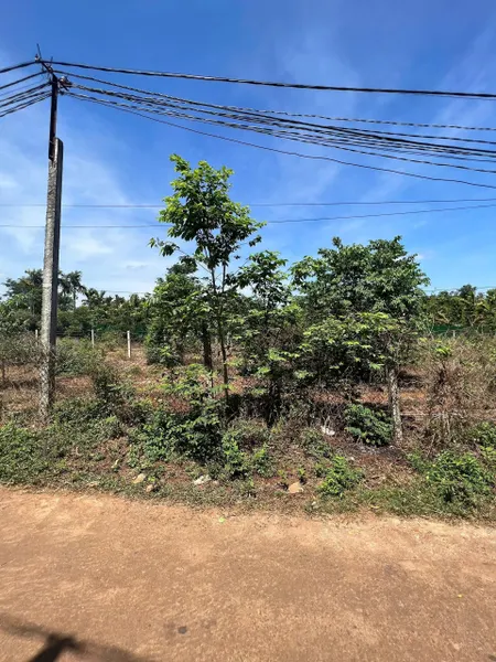 Bán đất 263.1m² ngang 5m giá 980 triệu Phường Tân An