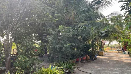 Bán 25m đất odt mặt tiền lê minh công tân phước tx lagi giá ngộp 400tr/m ngang giáp 577
