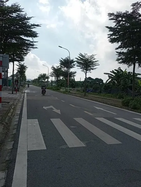 Bán đất tam hiệp, 81 m2, gần kđt linh đàm, văn phòng, mặt tiền rộng, ô tô, thanh trì, 15,98 tỷ