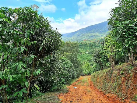 Đất view đẹp, giá rẻ, mặt tiền dài, ô tô vào tận đất, đường lộ nhựa liên thôn, sổ hồng riêng
