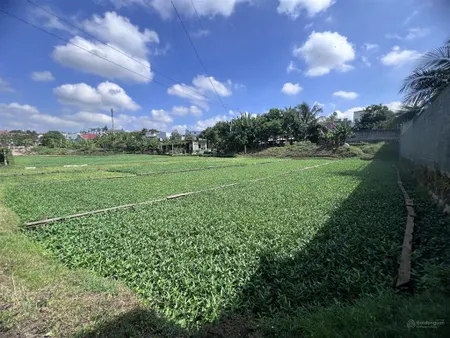 Gia đình cần bán 2072m2 mặt tiền đường lương thế vinh