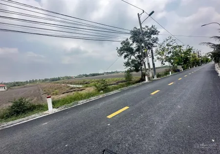 Bán 1000m2 đất lúa mặt tiền lương ngang, tân nhựt, bình chánh