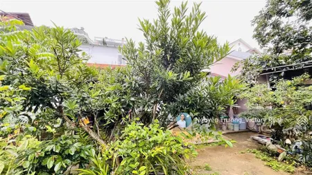 Nhà cấp 4, dt 150m², đường rộng 10 mét cần bán đất mặt tiền đường an bình, p. 04, đà lạt